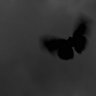 Alkeyzz Heartless